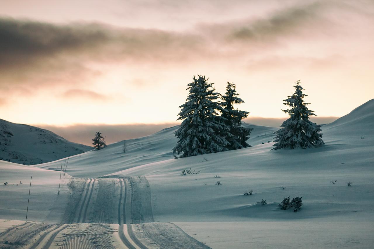 Rondane Hytter Og Leiligheter Ота Екстериор снимка